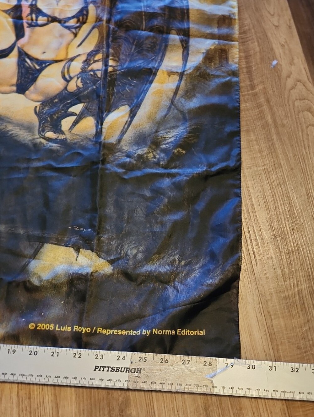 Luis Royo 2005 Gothic Fantasy Fabric Wall Tapestry Winged Warrior - Picture 7 of 8